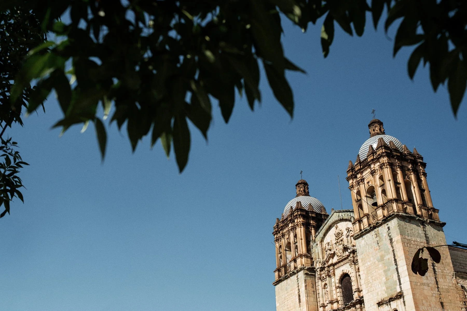 A documentary view of Santo Domingo de Guzmán Church through the trees in Oaxaca City.