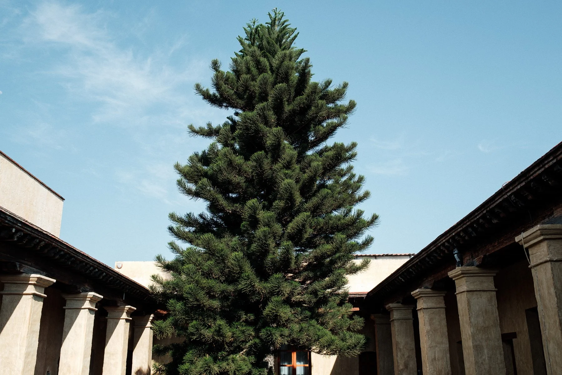 The iconic historic courtyard at Hotel Quinta Real Oaxaca, a premier destination wedding venue.