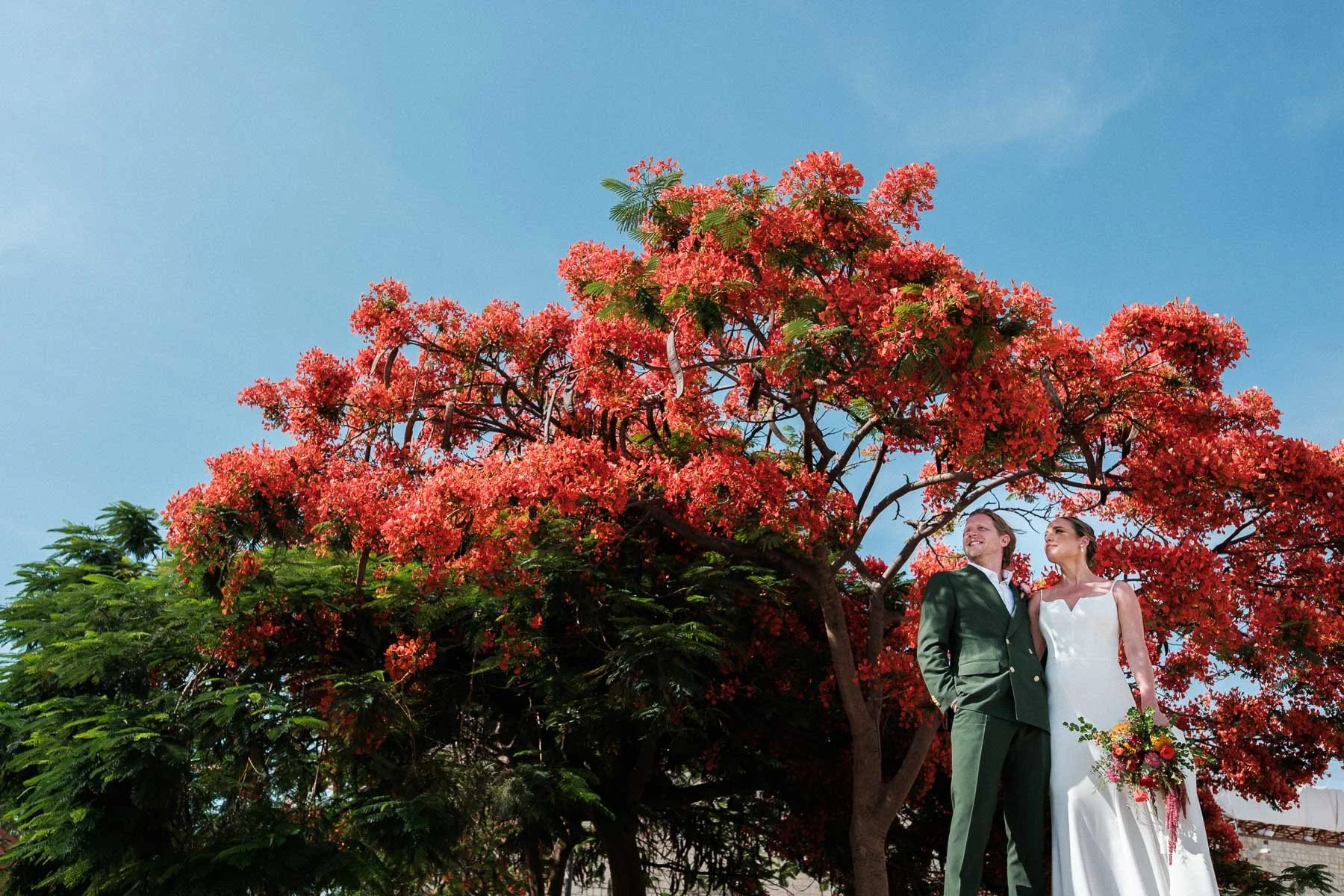 Couple holding hands in front of a vibrant red tree in Oaxaca, Mexico.