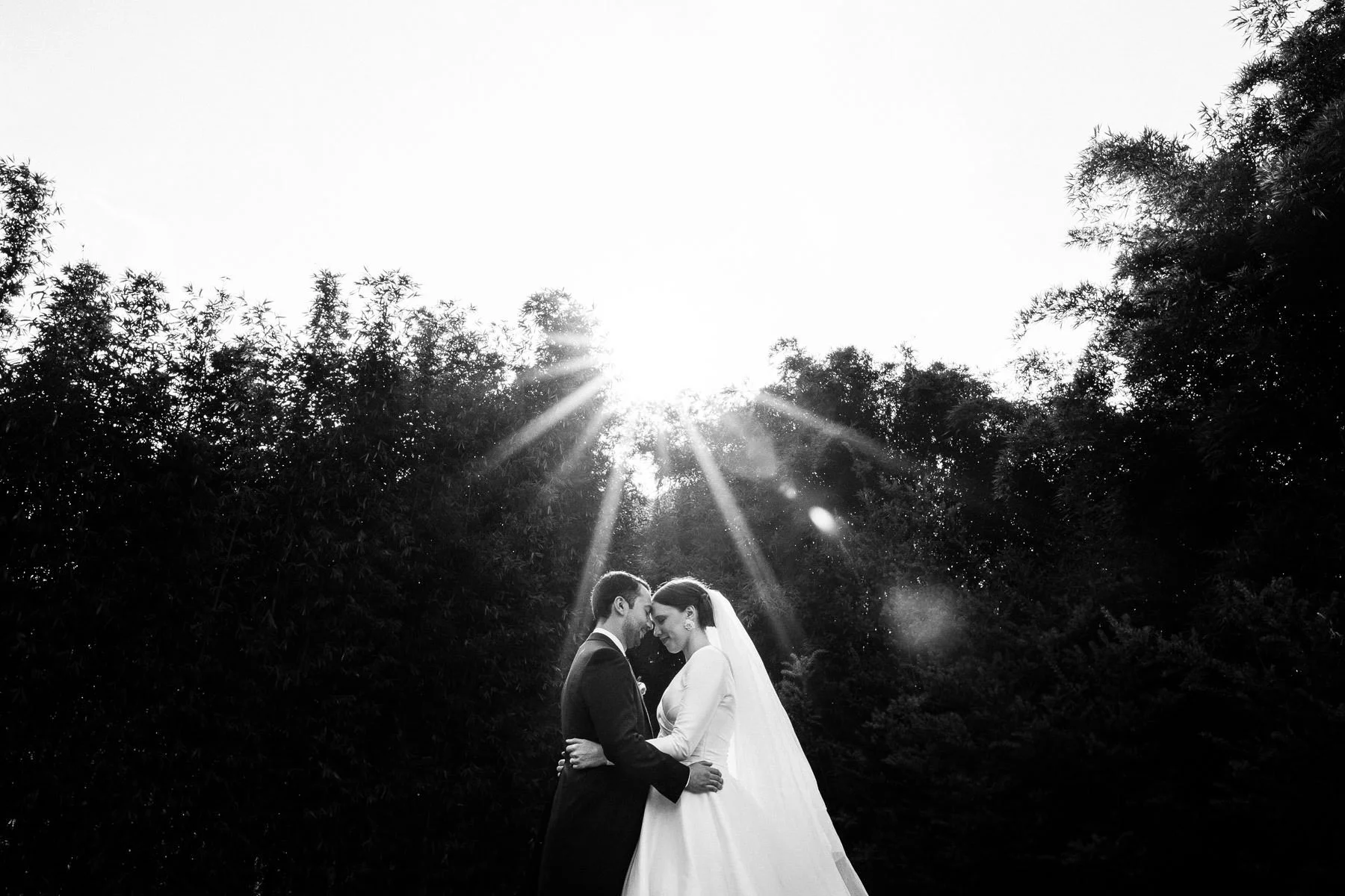 Couple face-to-face in Valle de Bravo forest with sunset light filtering through.