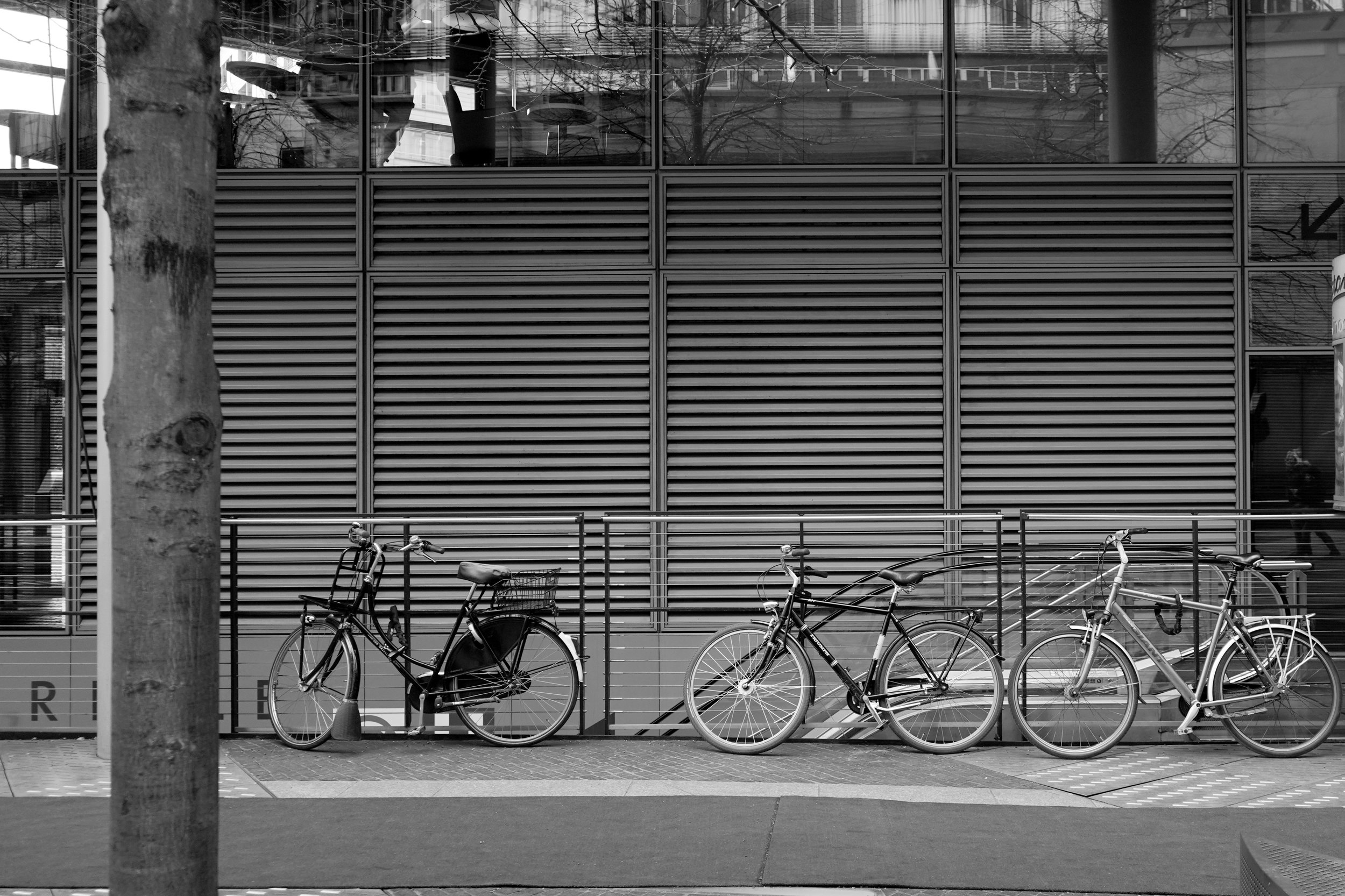 DSC02656-01.jpeg