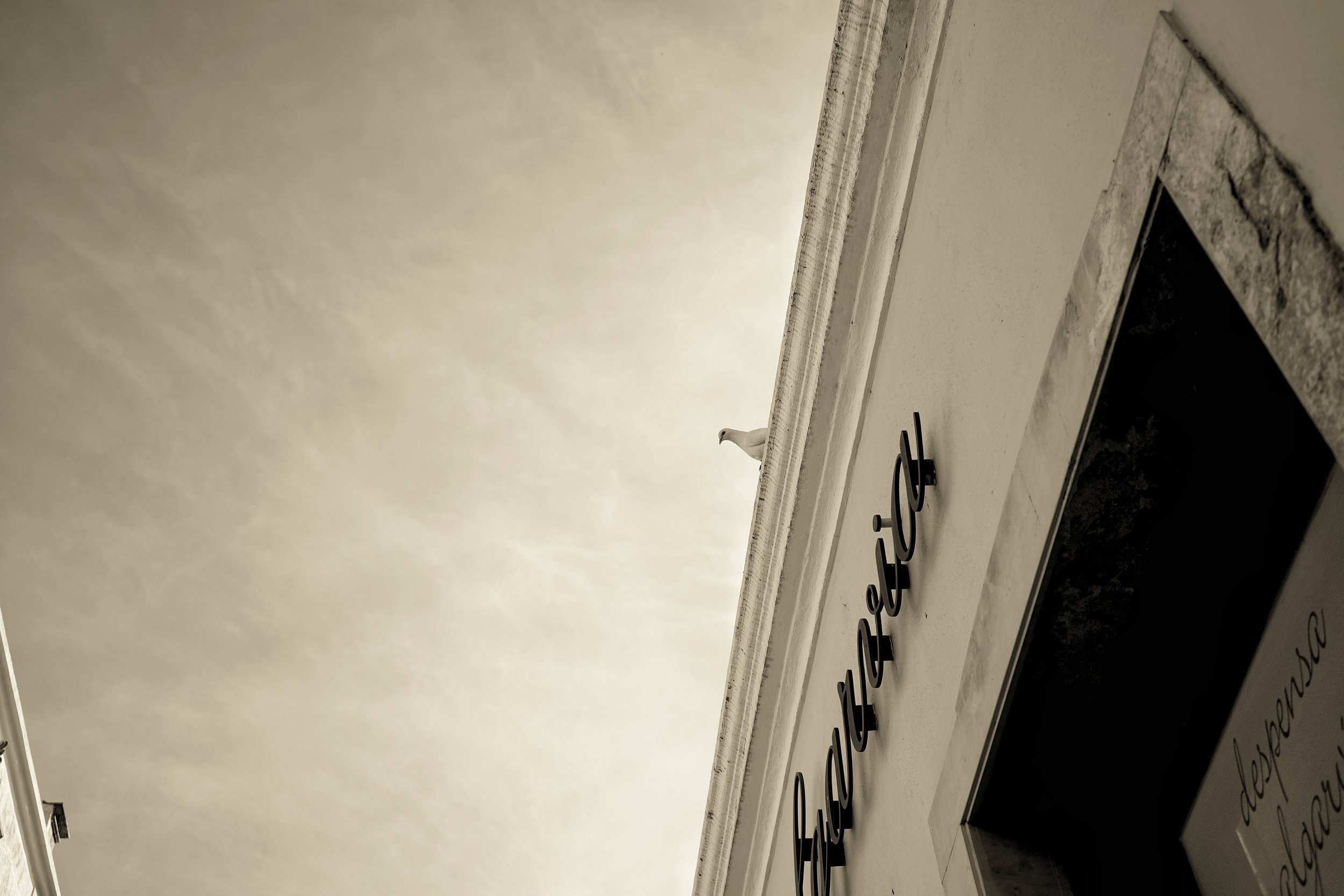 DSC02553-01.jpeg