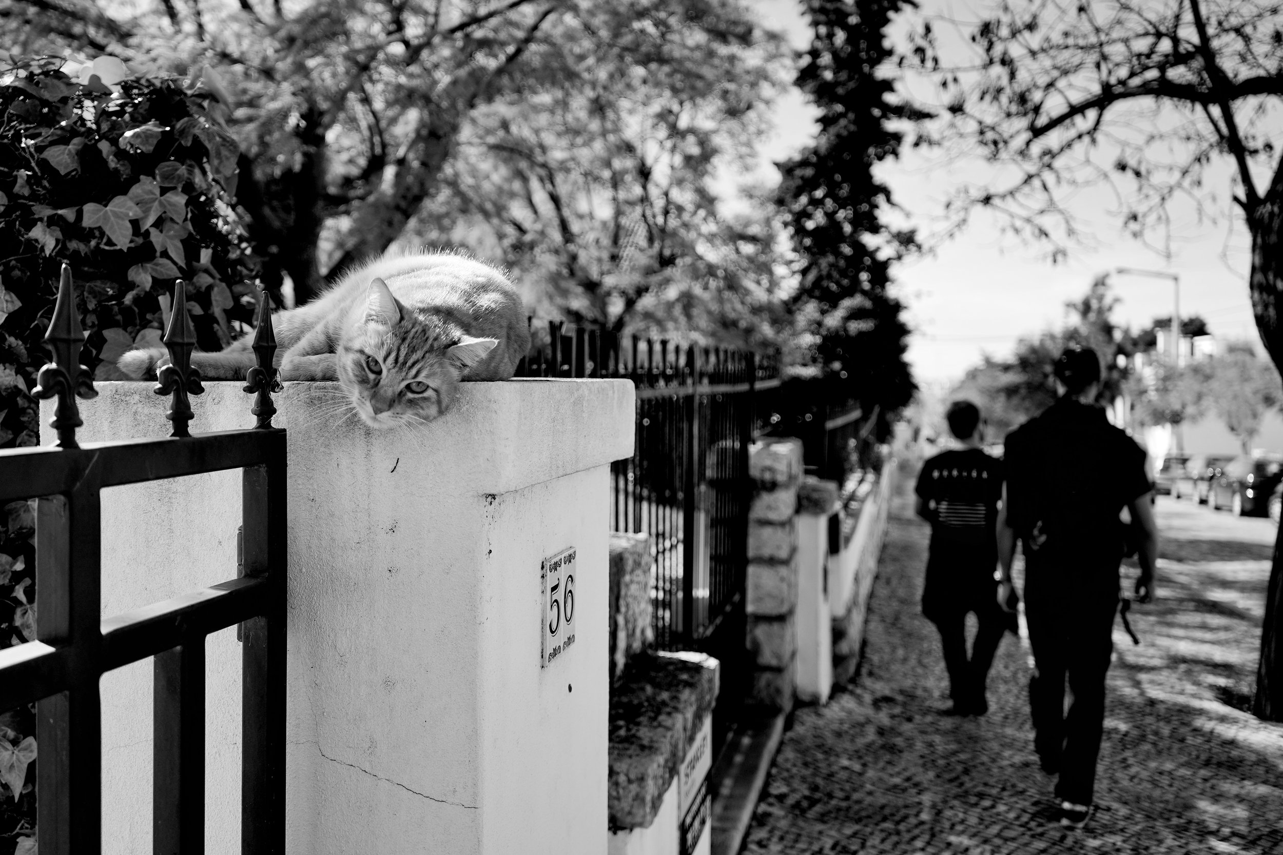 DSC01898-01-01.jpeg