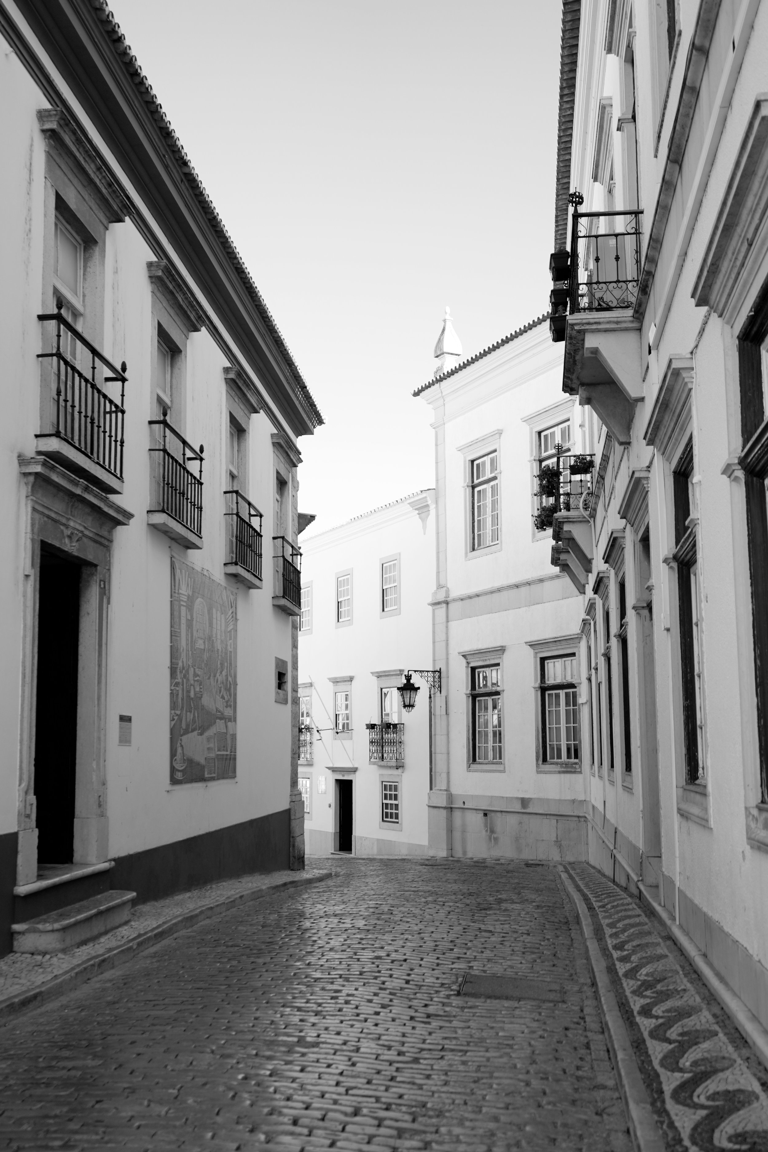 DSC01790-01.jpeg