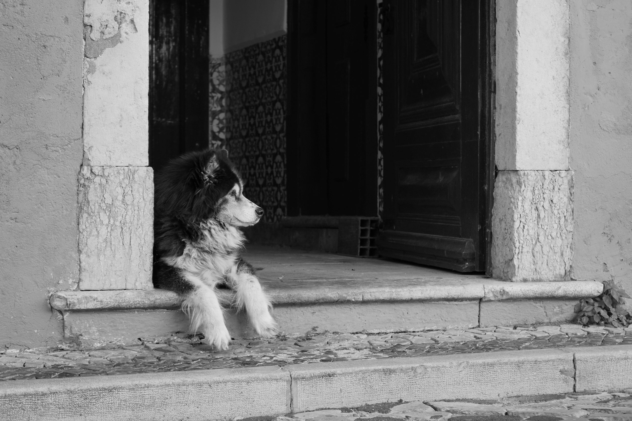 DSC01785-01.jpeg