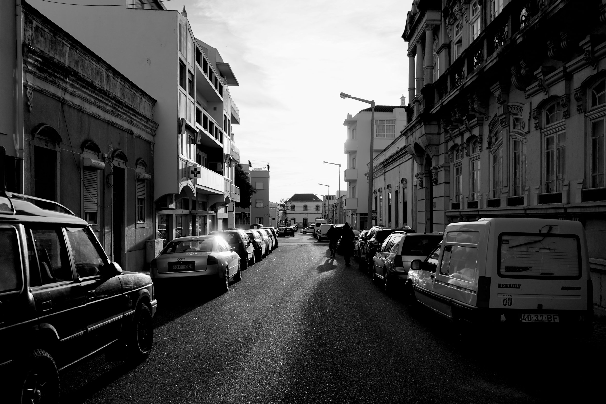 DSC01680-01.jpeg