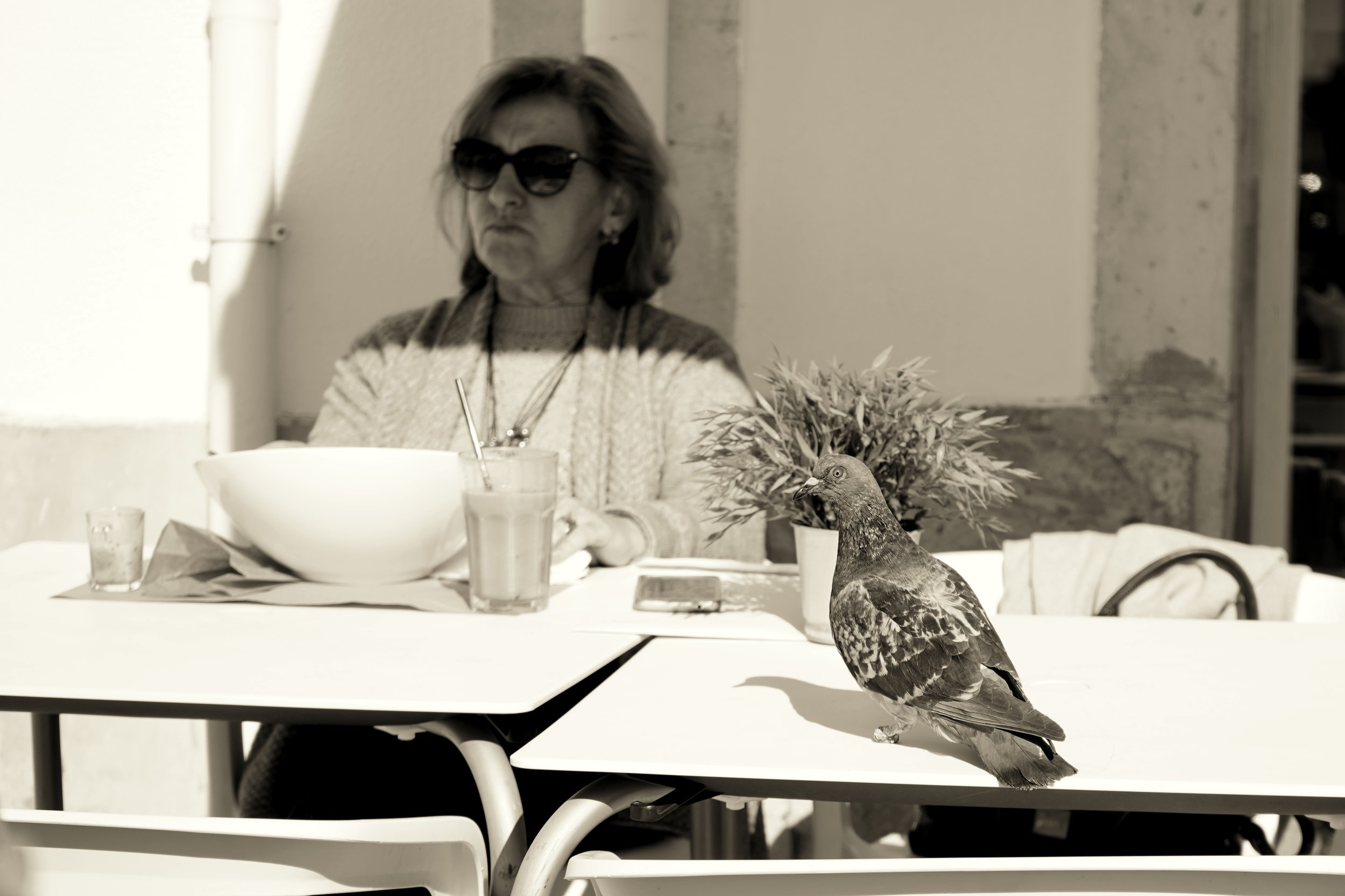 DSC01410-02.jpeg