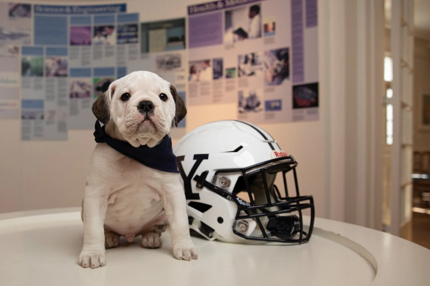 The Game, The Tradition – The Naples Watch Party!
