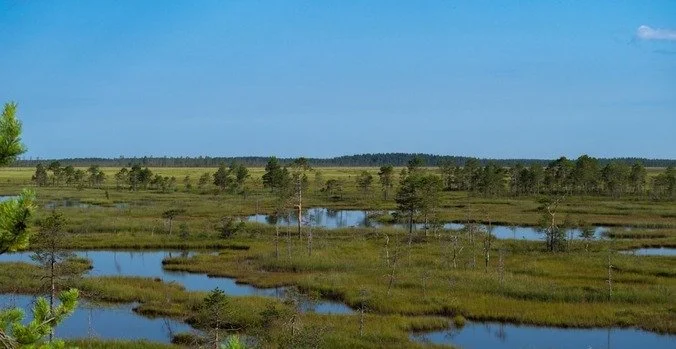 MIT: An Everglades Restoration Update by Chauncey Goss