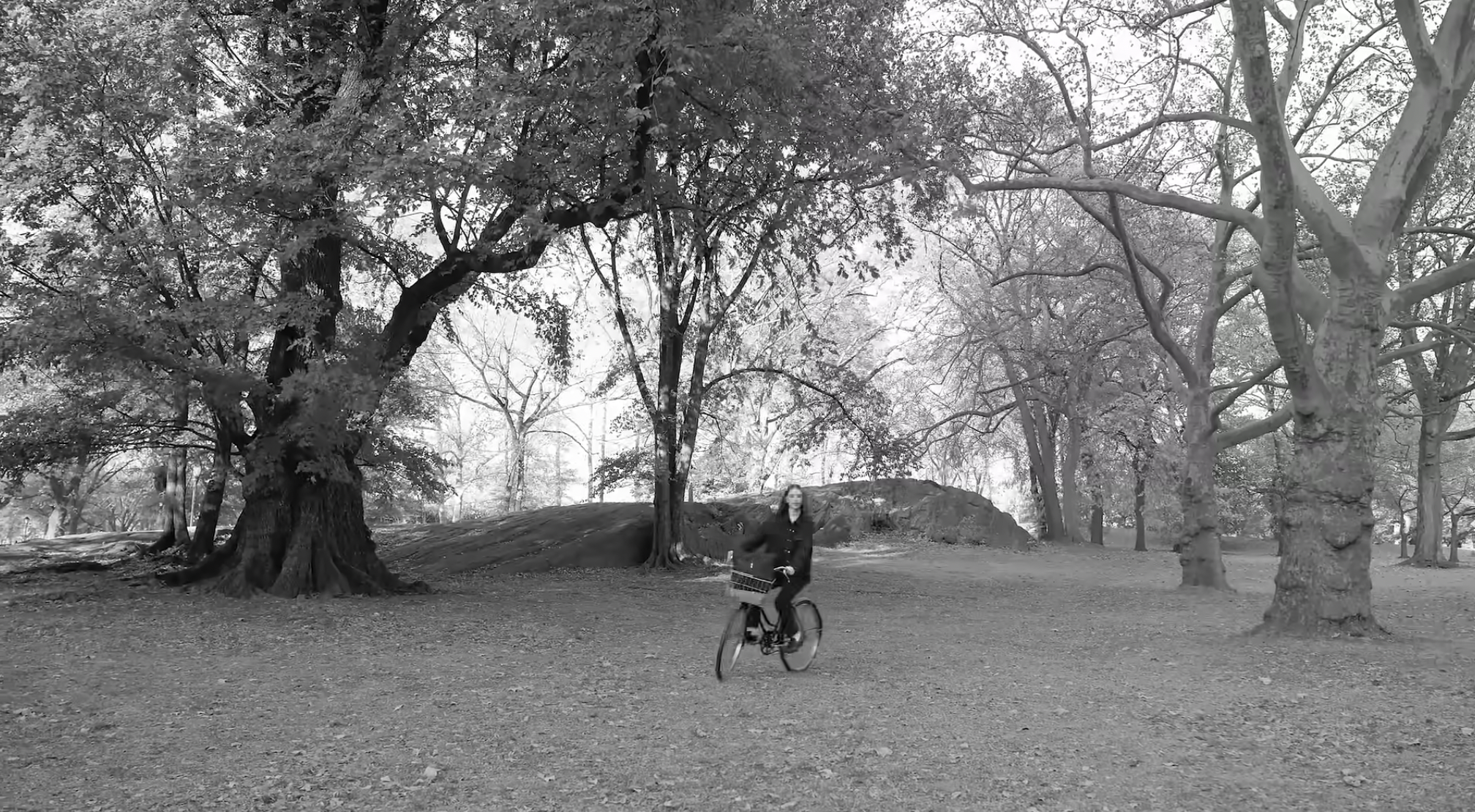 The Astor Collection | MZ Wallace