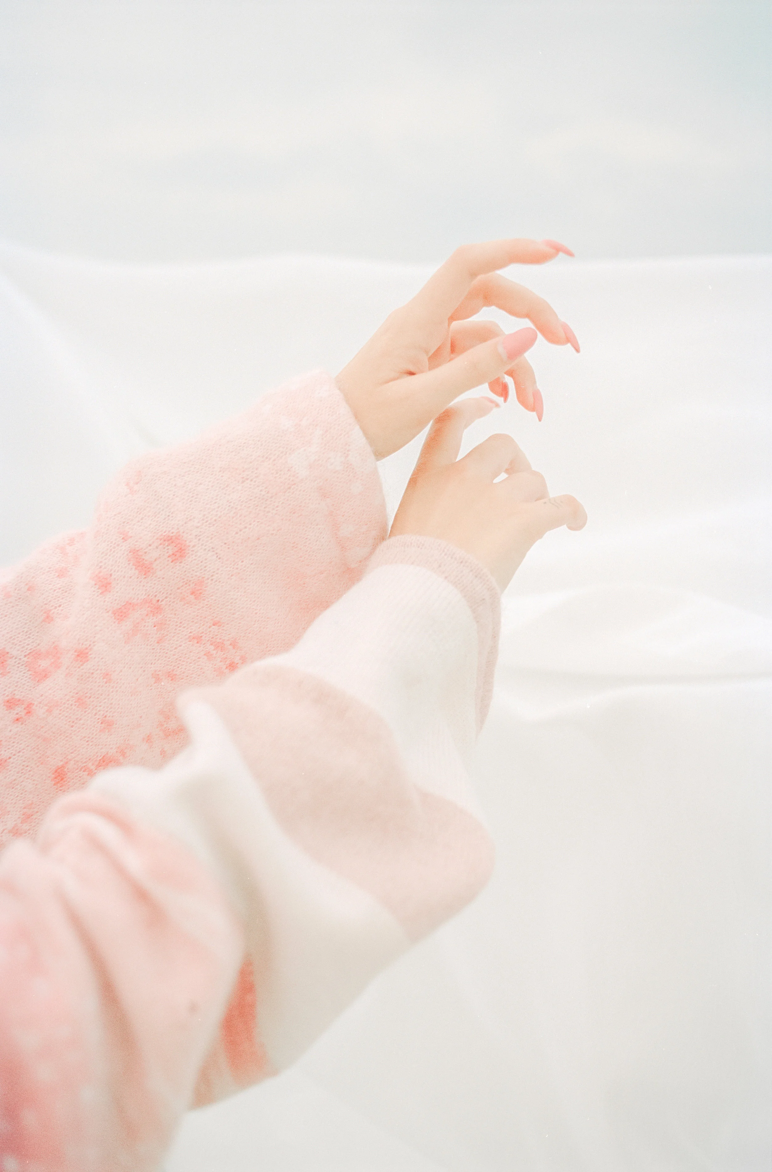 images by Maia Bertrand