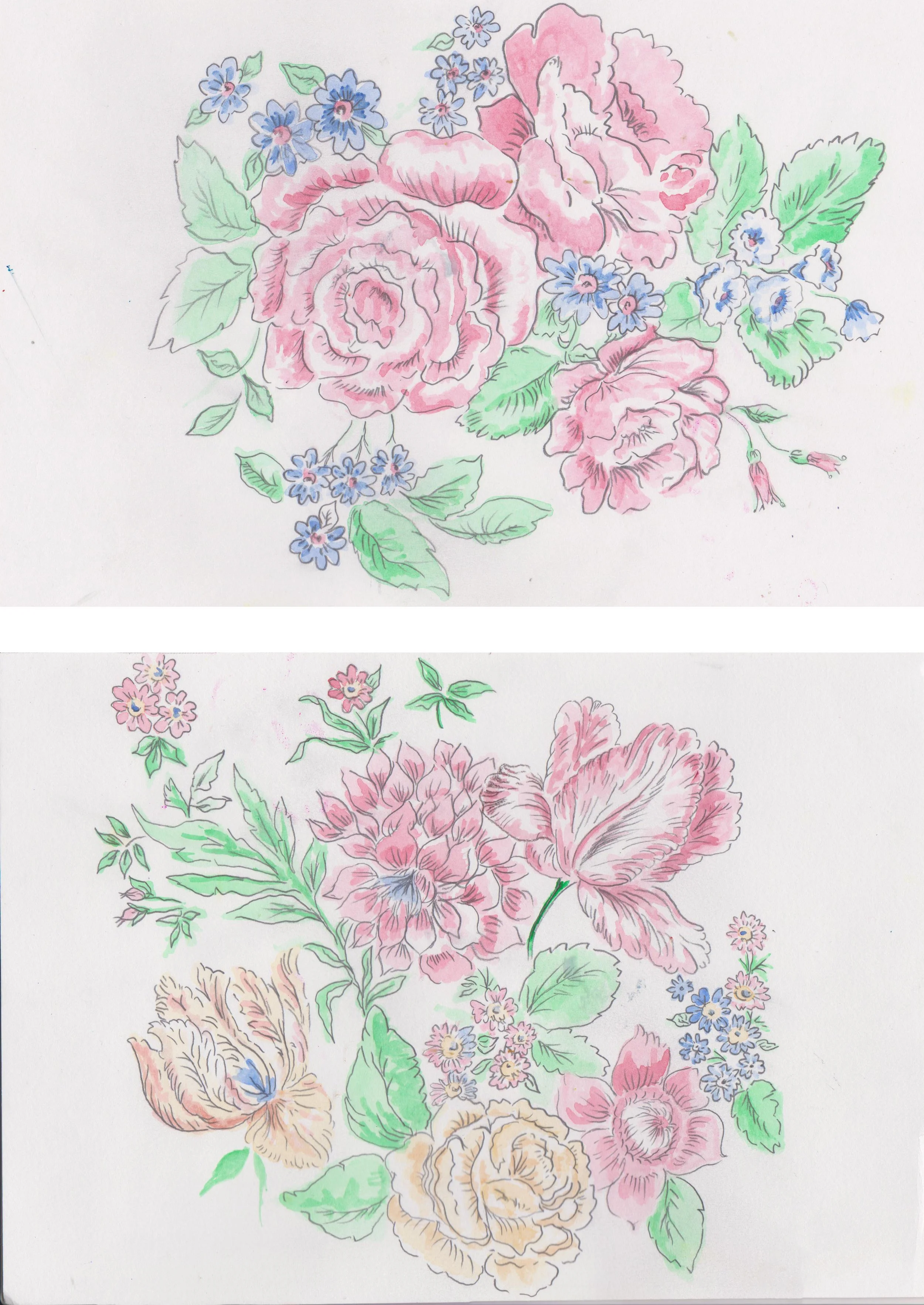  Original colored pencil and watercolor sketch  