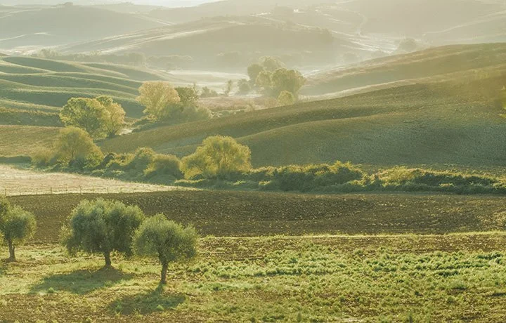 Toscana, Italia - 2026