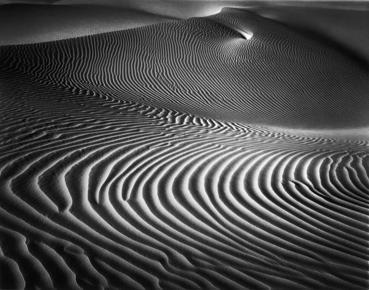 Elegant Dune