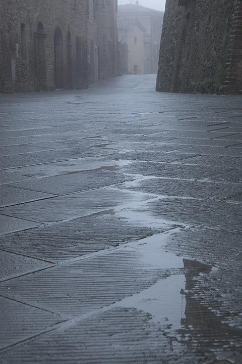 Barnbaum…Montisi, Dawn, Fog