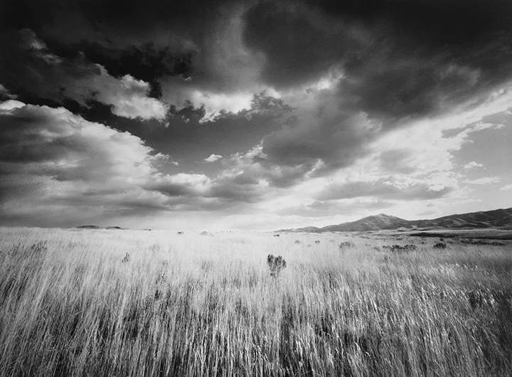 IdahoGrass&SageLands.jpg