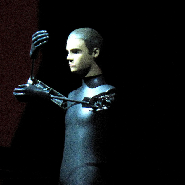 Justifying Human Enhancement: The Accumulation of Biocultural Capital (2013)