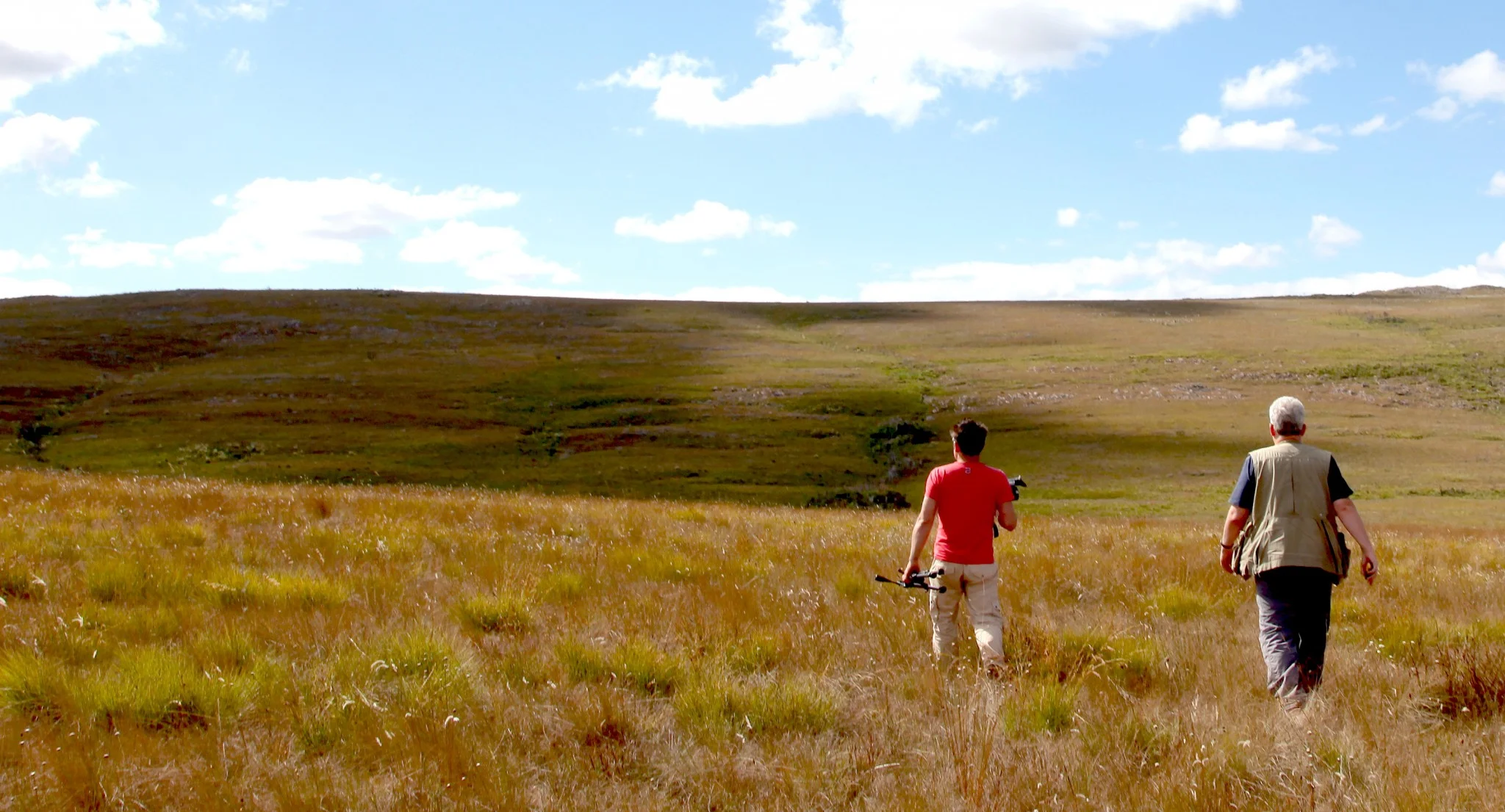 In search of the Giant Anteater