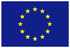 EC.jpeg