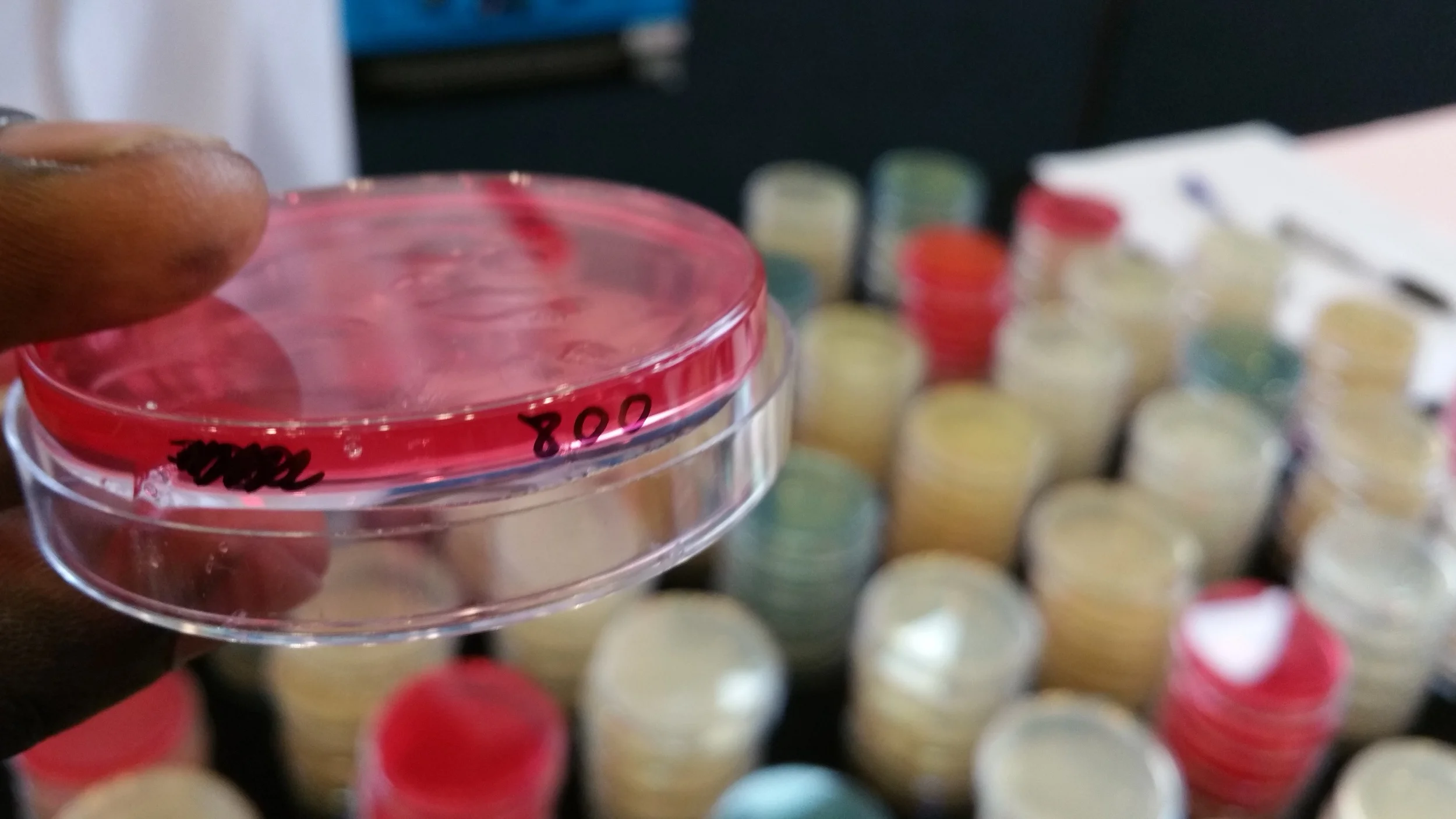 Science Jam