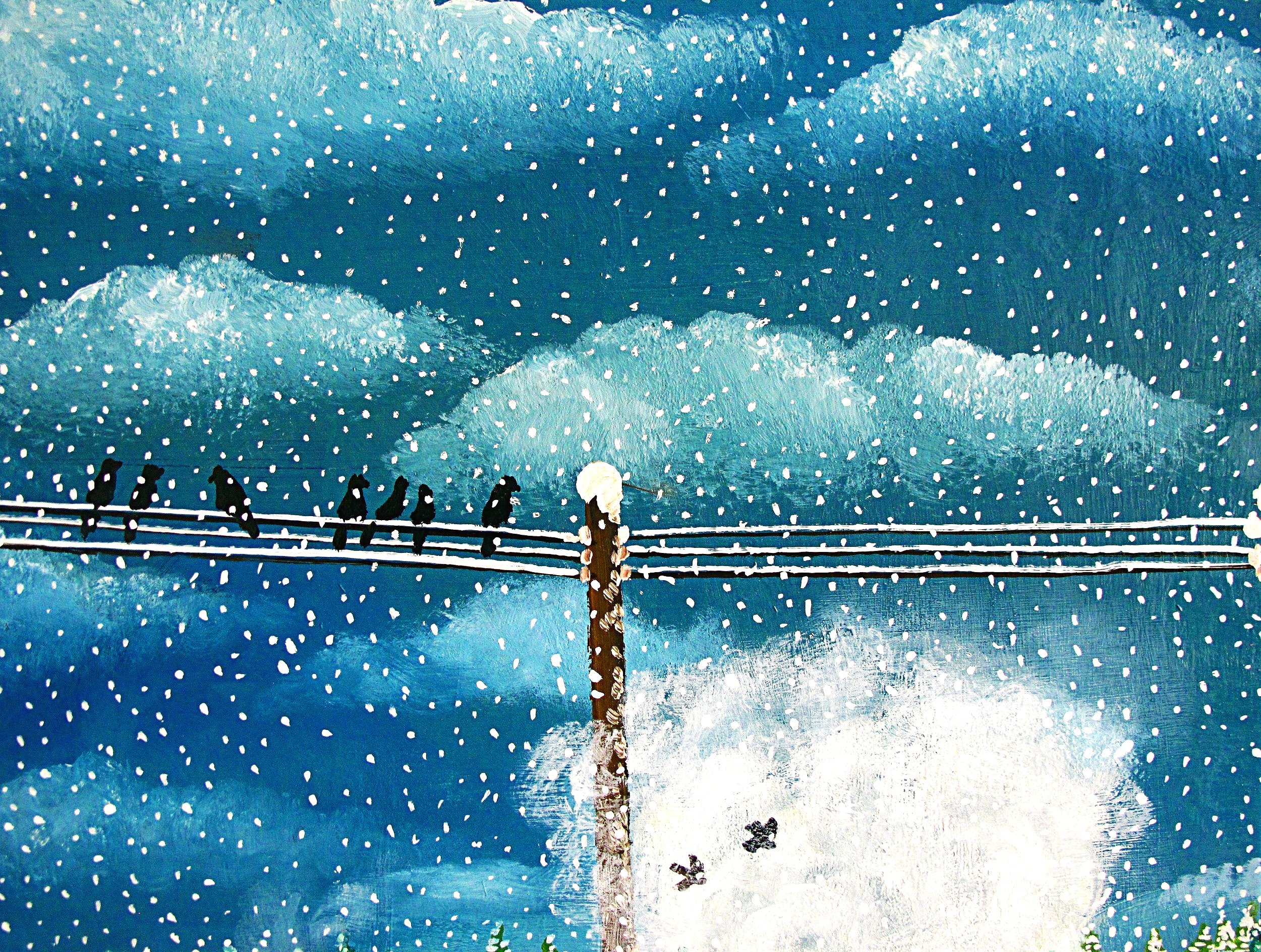 pxr++snow+birds.jpg