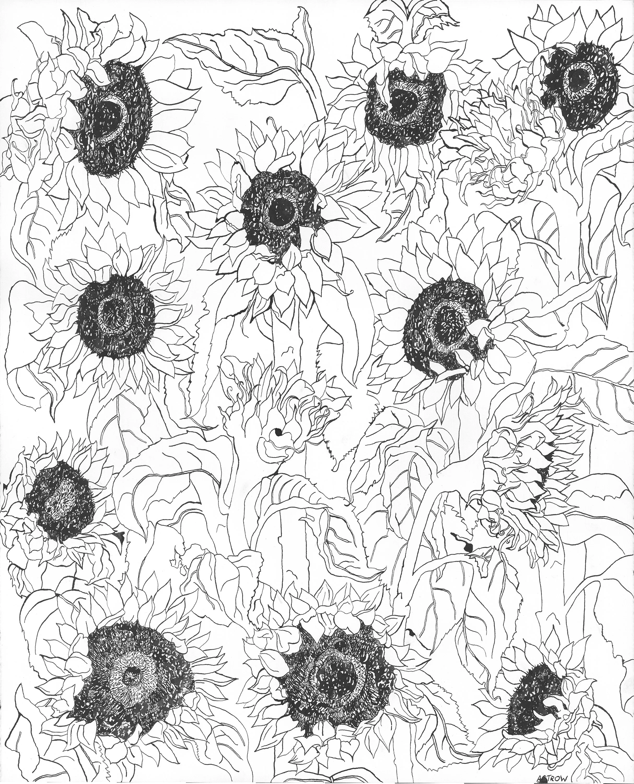 Jean (Walks in Fresh Fields)  