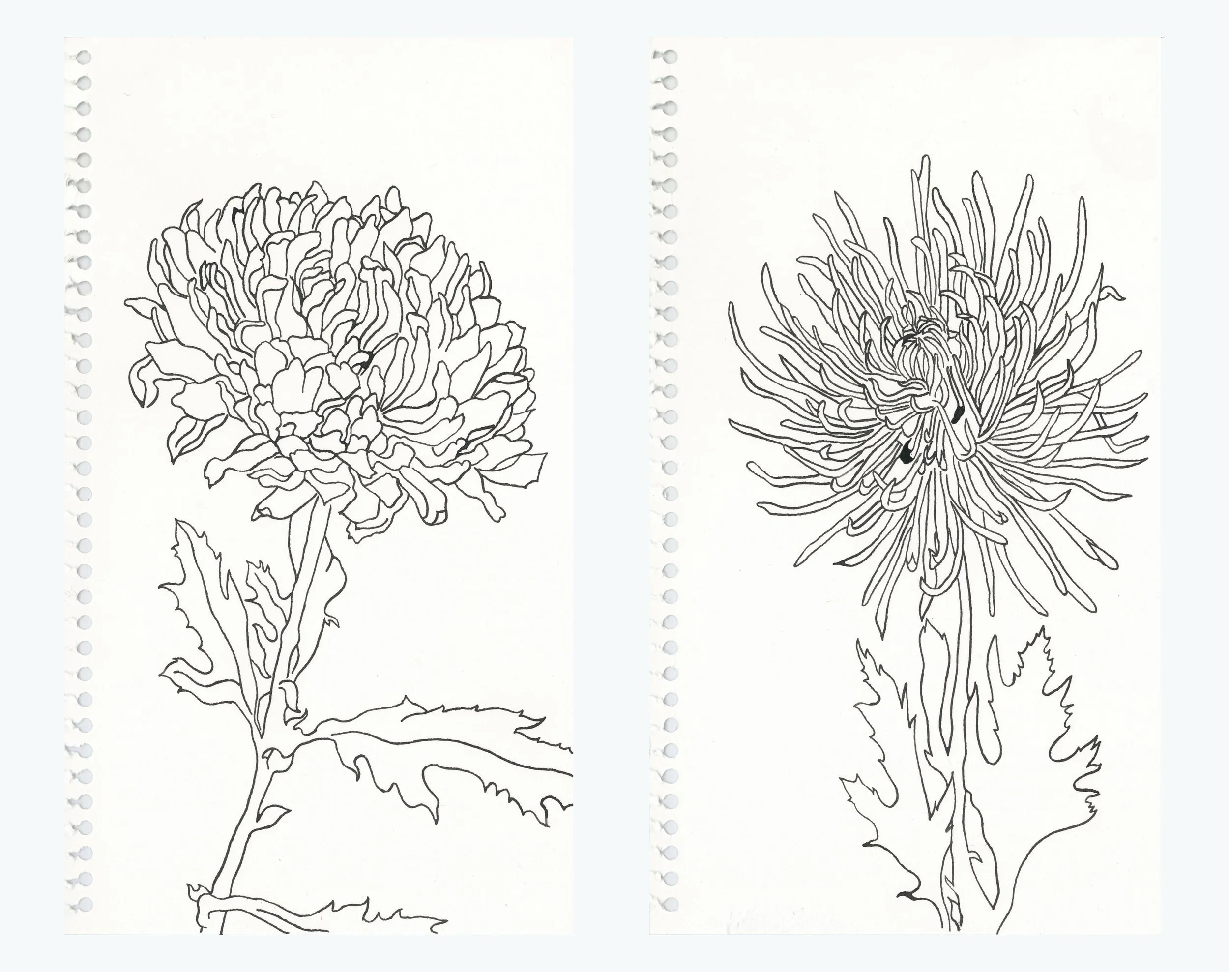 Curious Crystals of Unusal Purity_1.jpg