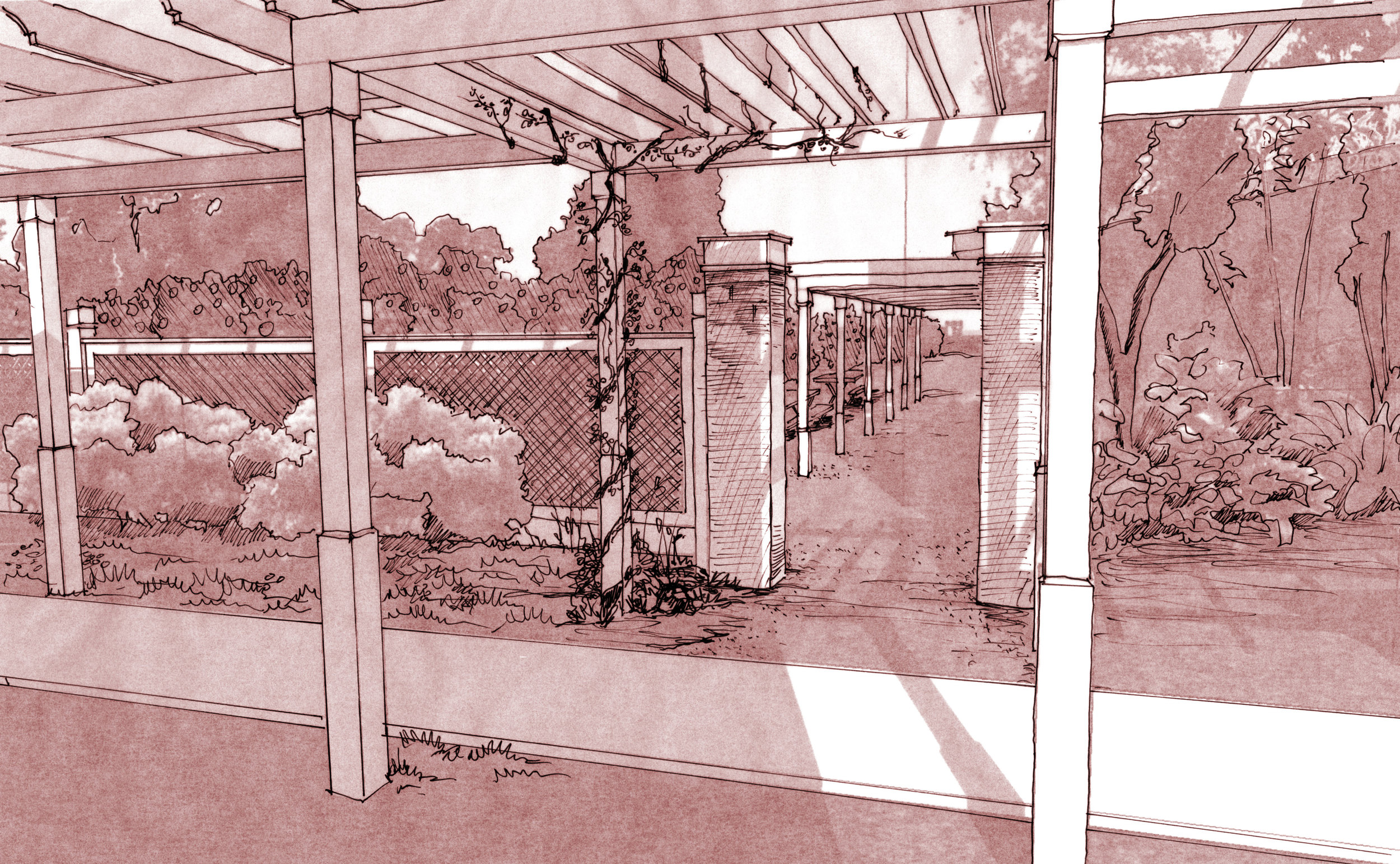 Trellis path and gate rendering.jpg