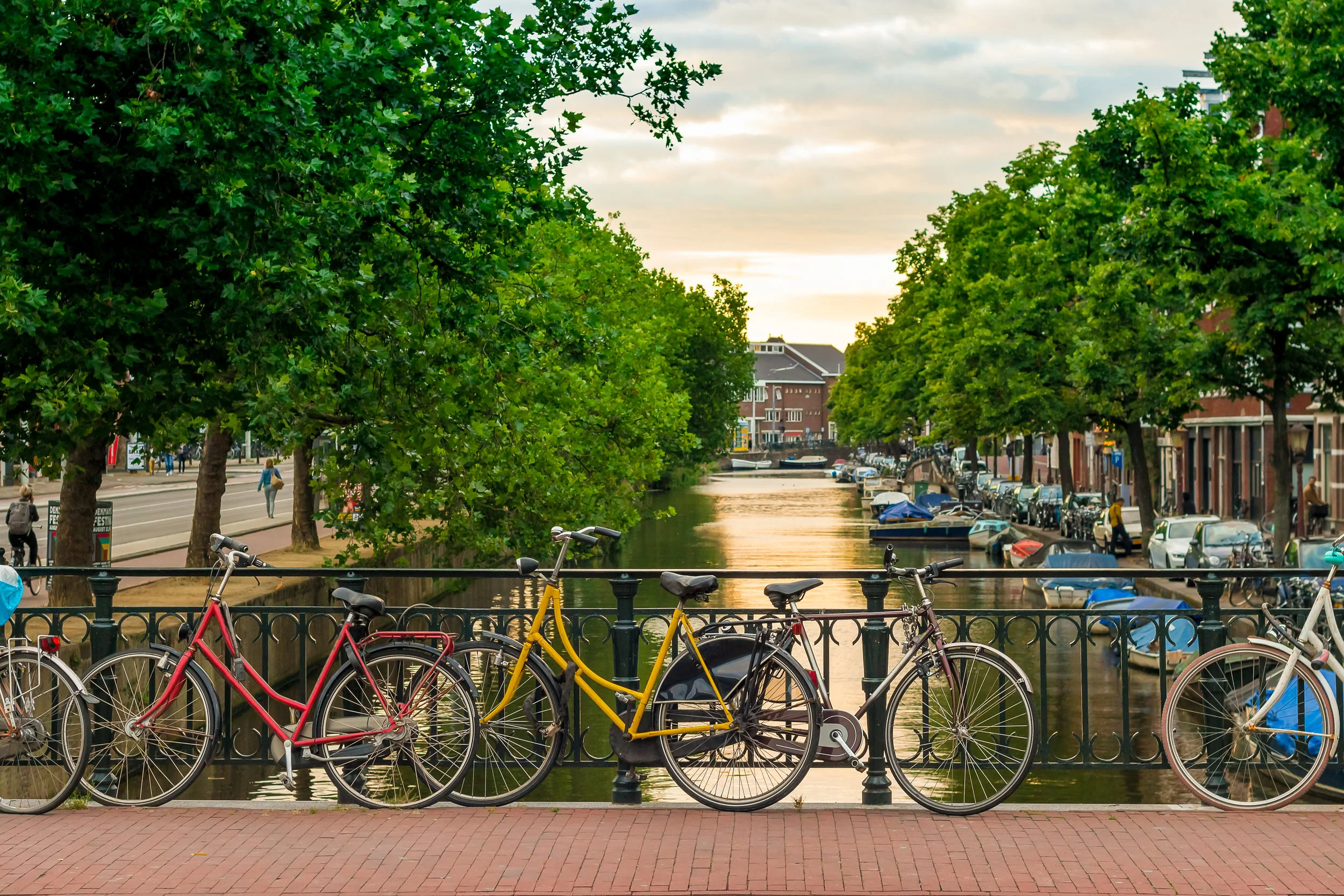 shutterstock_530821249.jpg