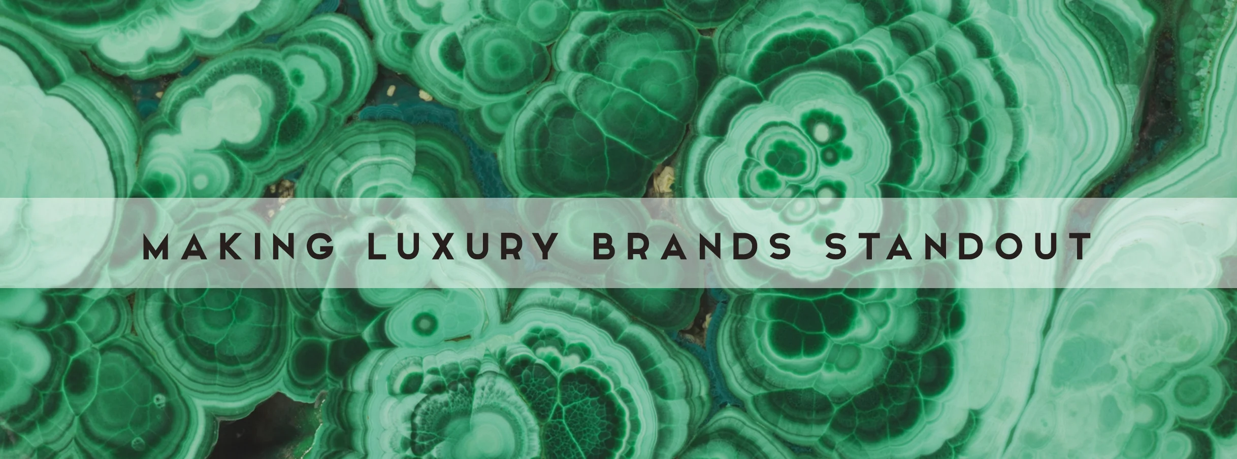 website-header.jpg