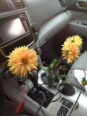 flowercar.jpg