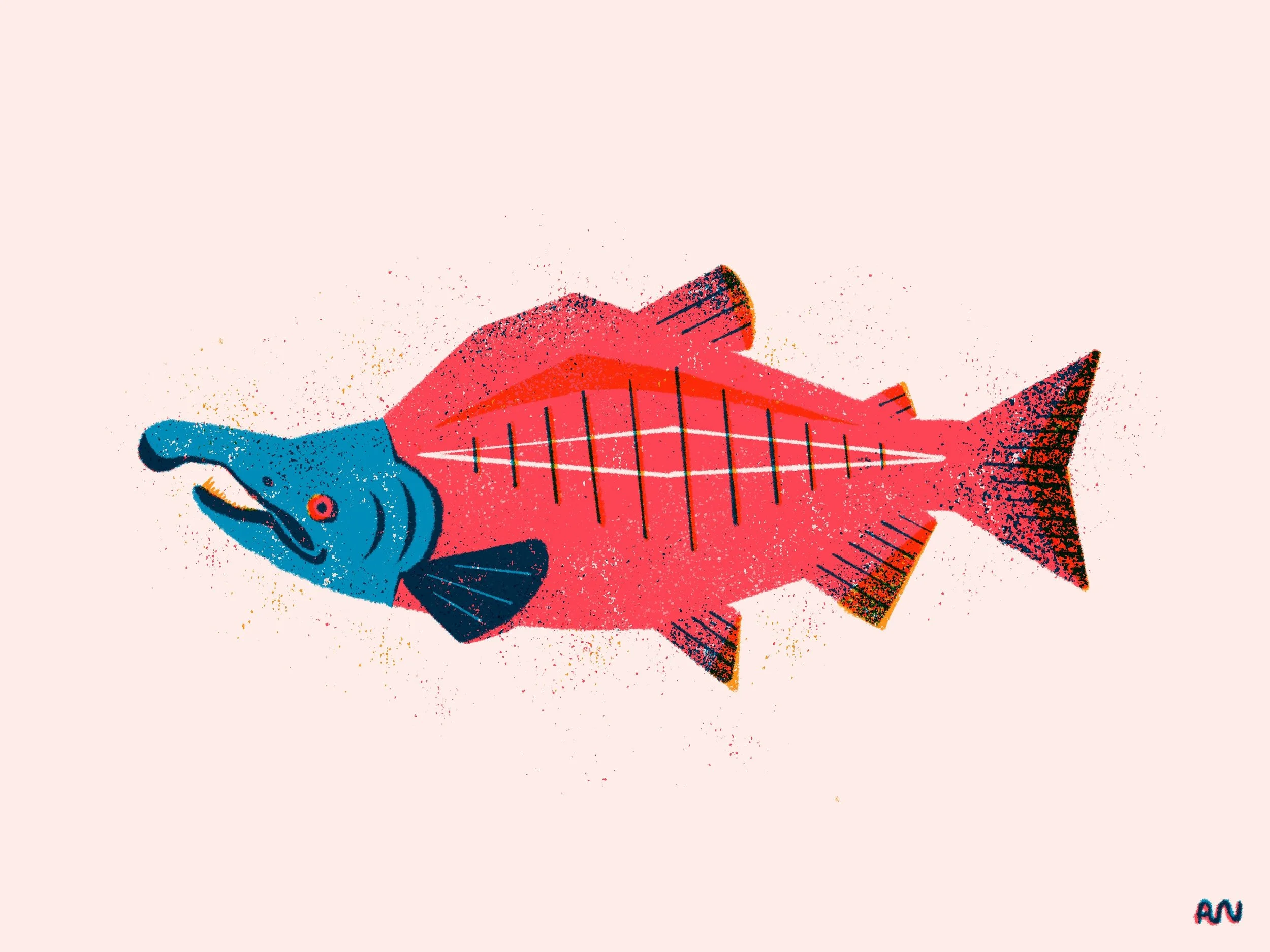 awestbrock-2022-sockeye_salmon1.jpg