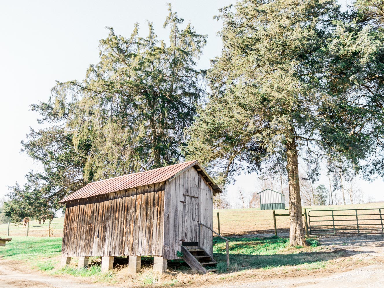 Equestrian Center Barn | Rustic Winter Wedding | Lynchburg, Virginia Film Photographer | kelseyandnate.com