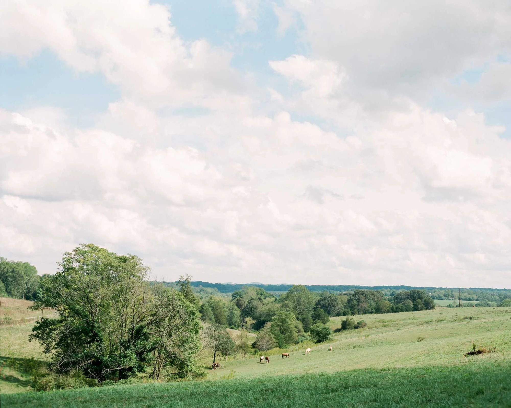 west_manor_estate_lynchburg_charlottesville_richmond_film_wedding_photographer-3.jpg