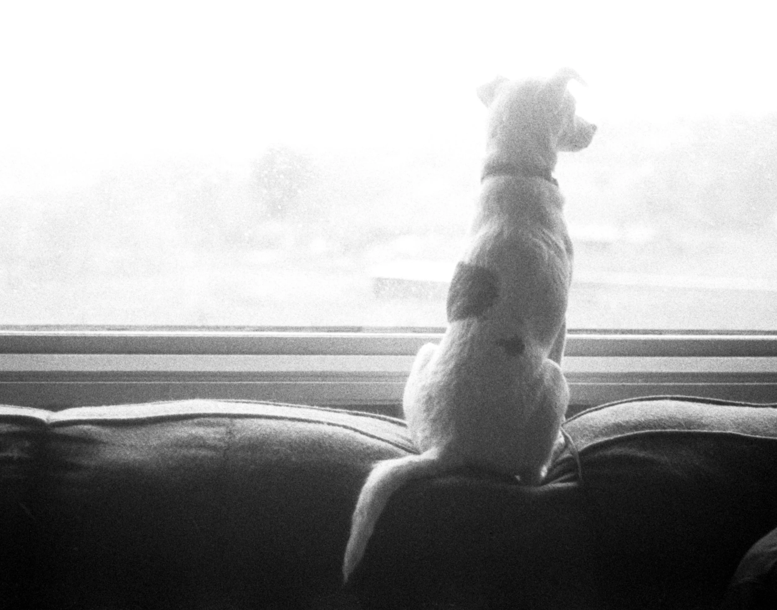 3 Assumption Day.jpg