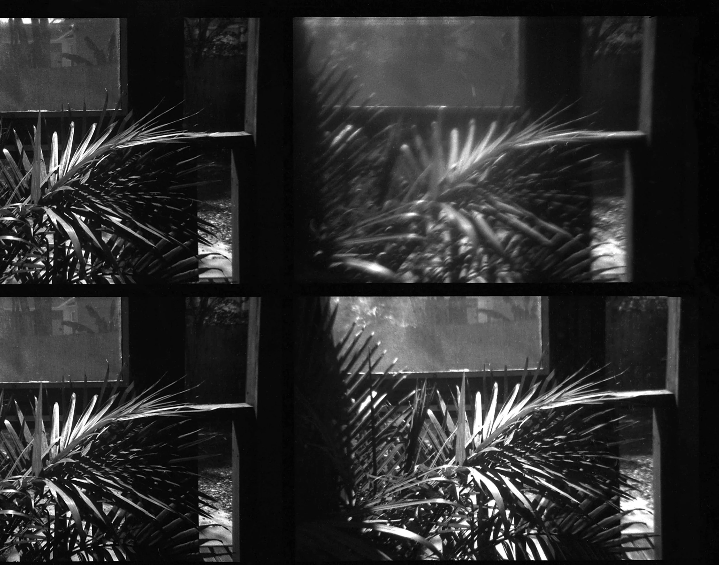 11 Soothe or Sour.jpg