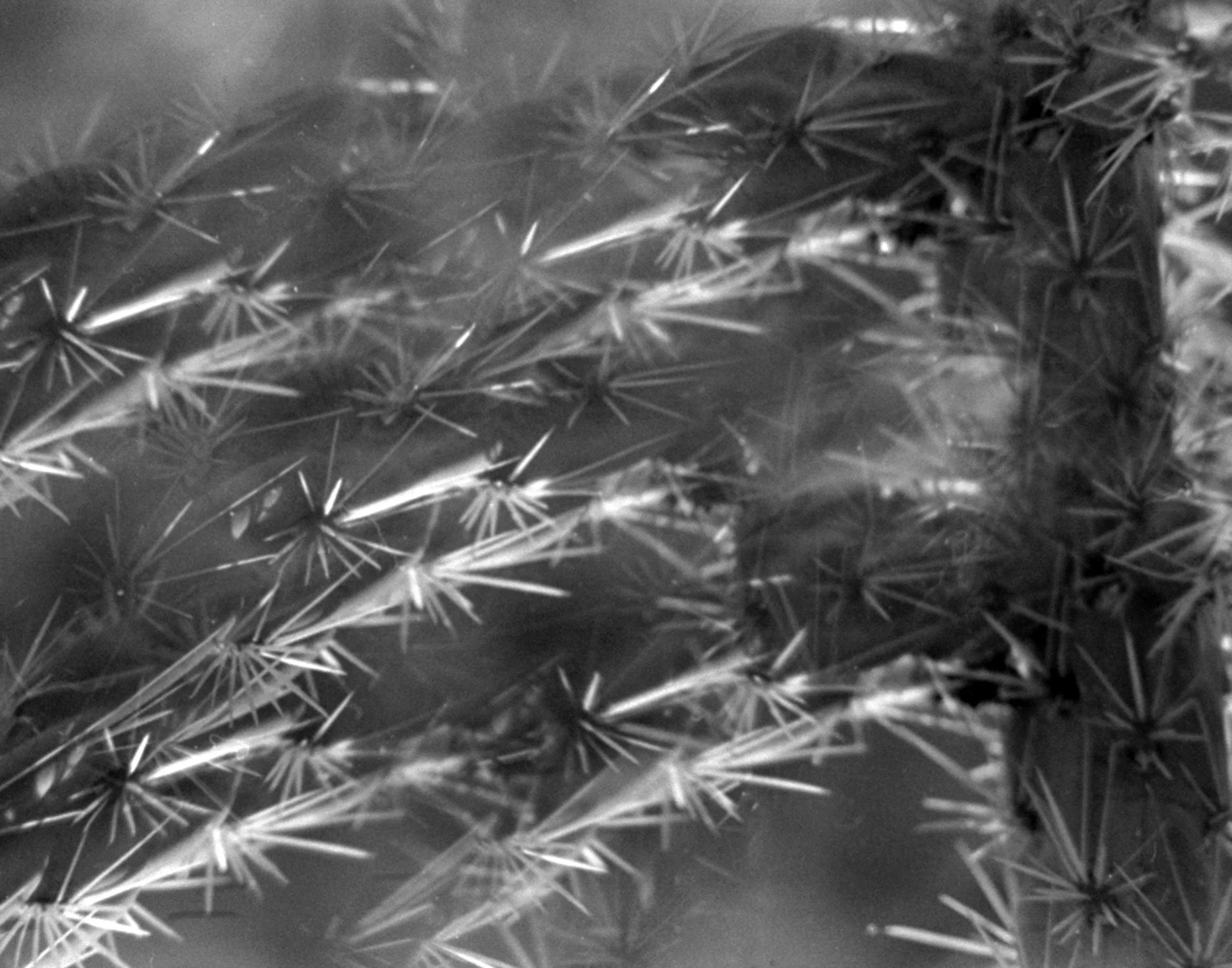 15 Is it Dangerous to Heal_.jpg