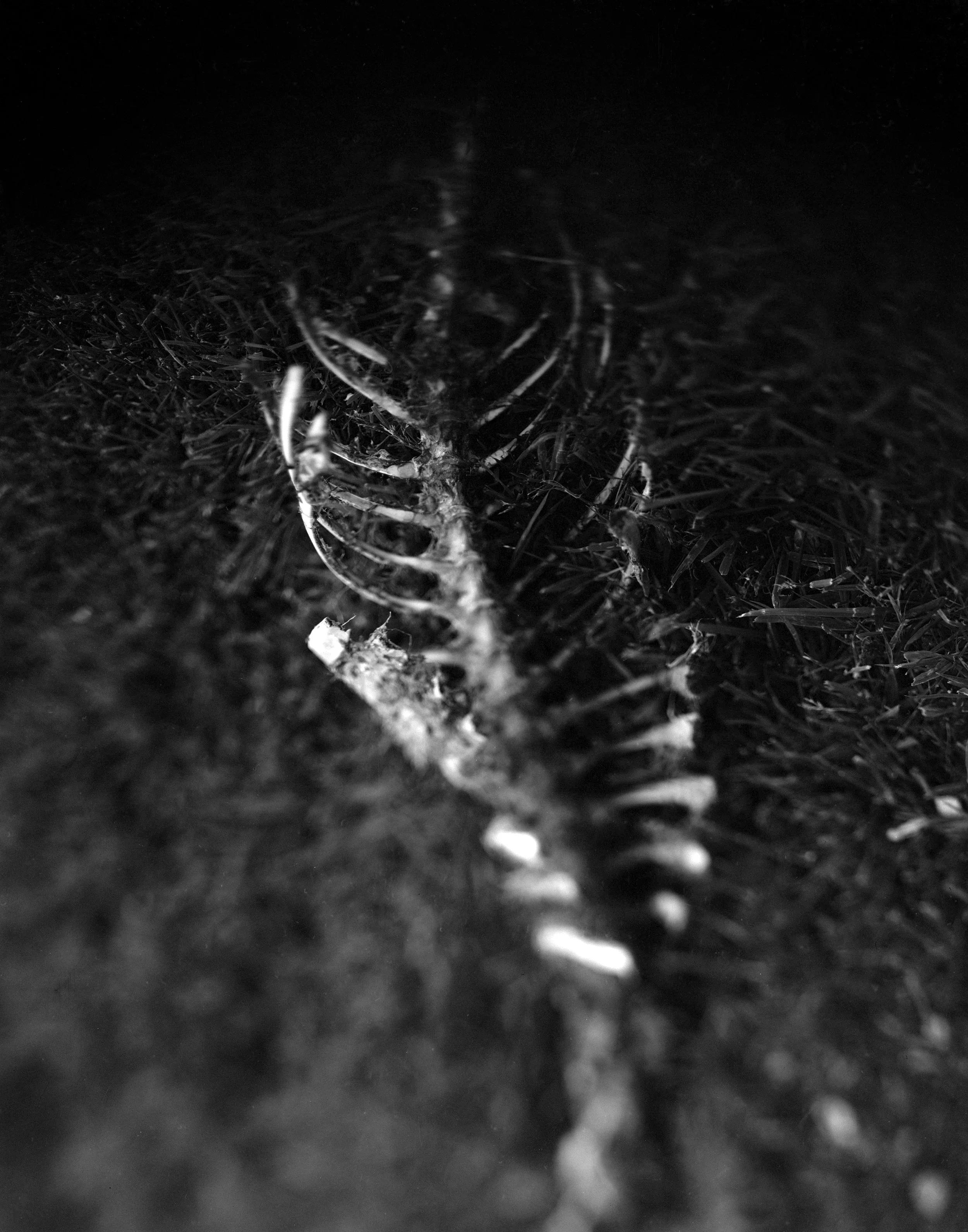 16 Albeit Temporary.jpg