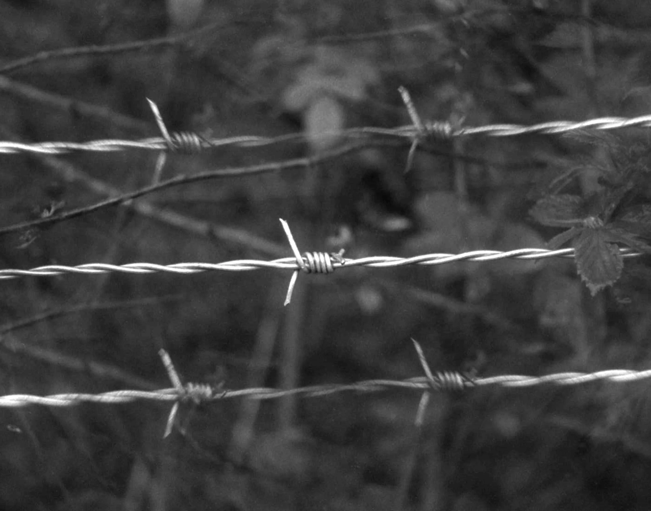 28 Hollow is the Way.jpg