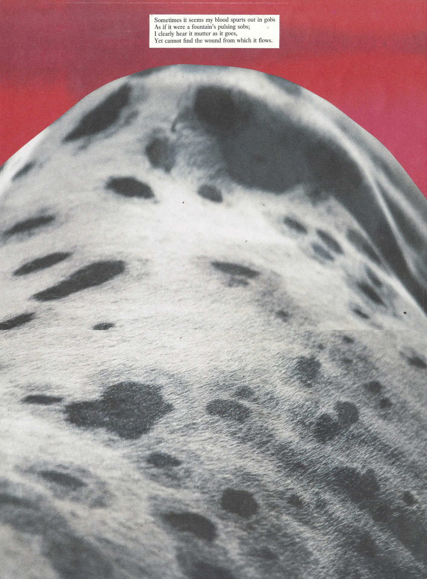 blood collage combined.jpg