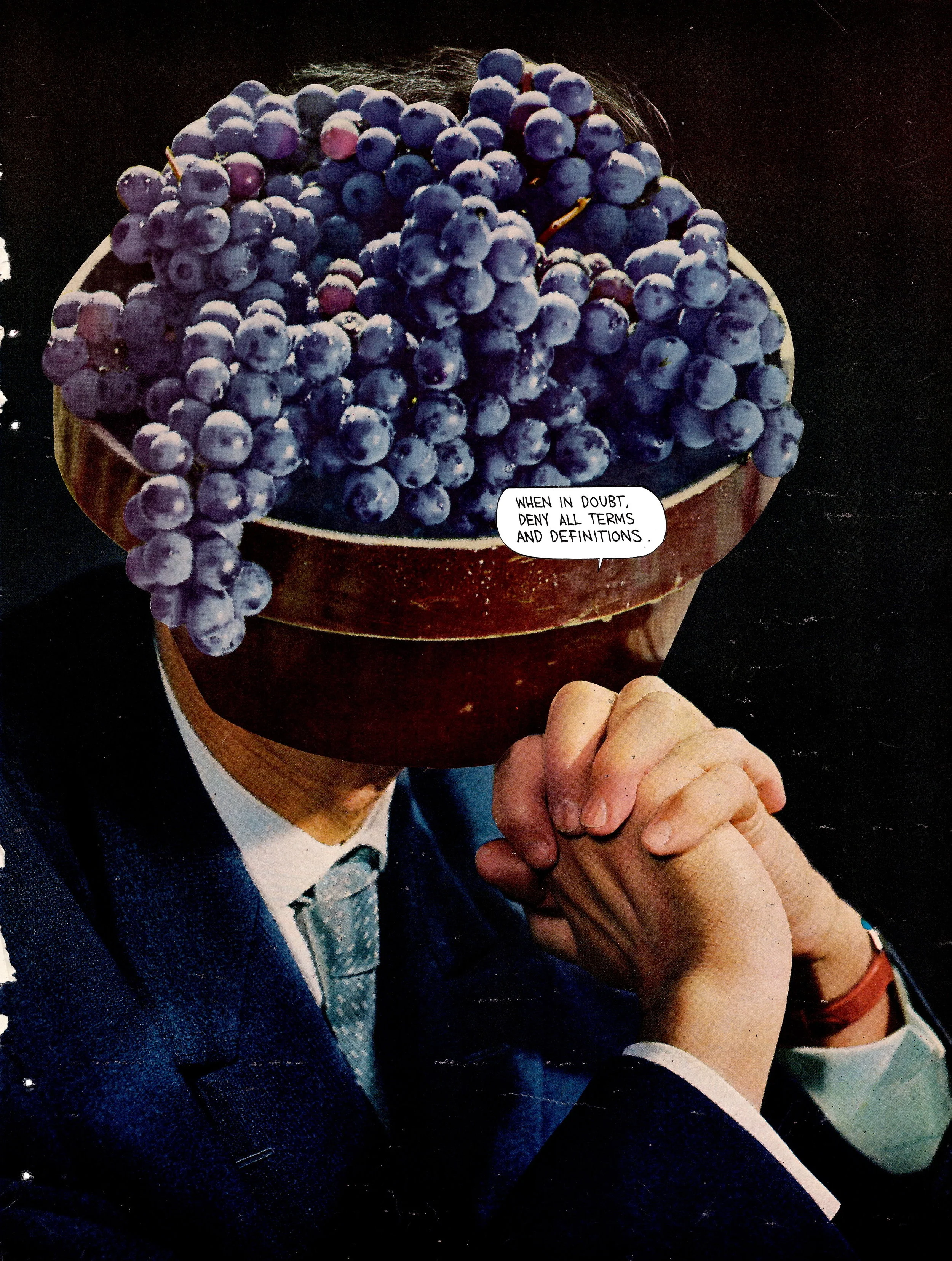 Blueberry Denial.JPG