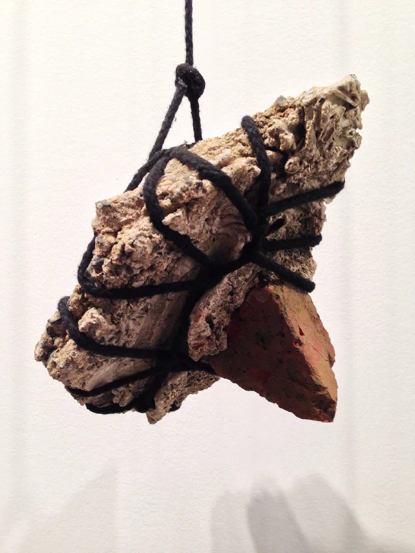 7 Lorna Williams-Ouroboros-2013-hair, plumbing hardware, violin parts, photography lenses, snake vertebrae, bike wheel, hose, ukulele neck, bike chain, plaster teeth, bike seat, speaker, snake shedding, root, rope, cement-88x60x13-detail.jpg