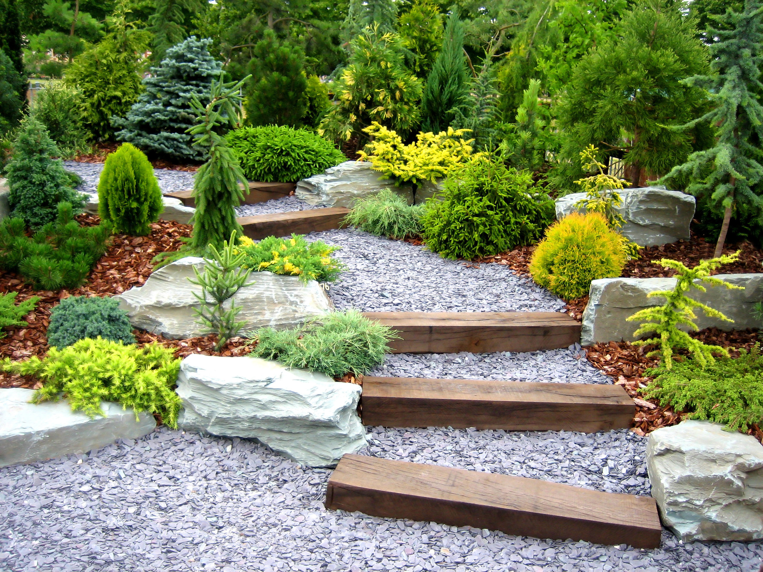 Planting manicured evergreen defined zen garden