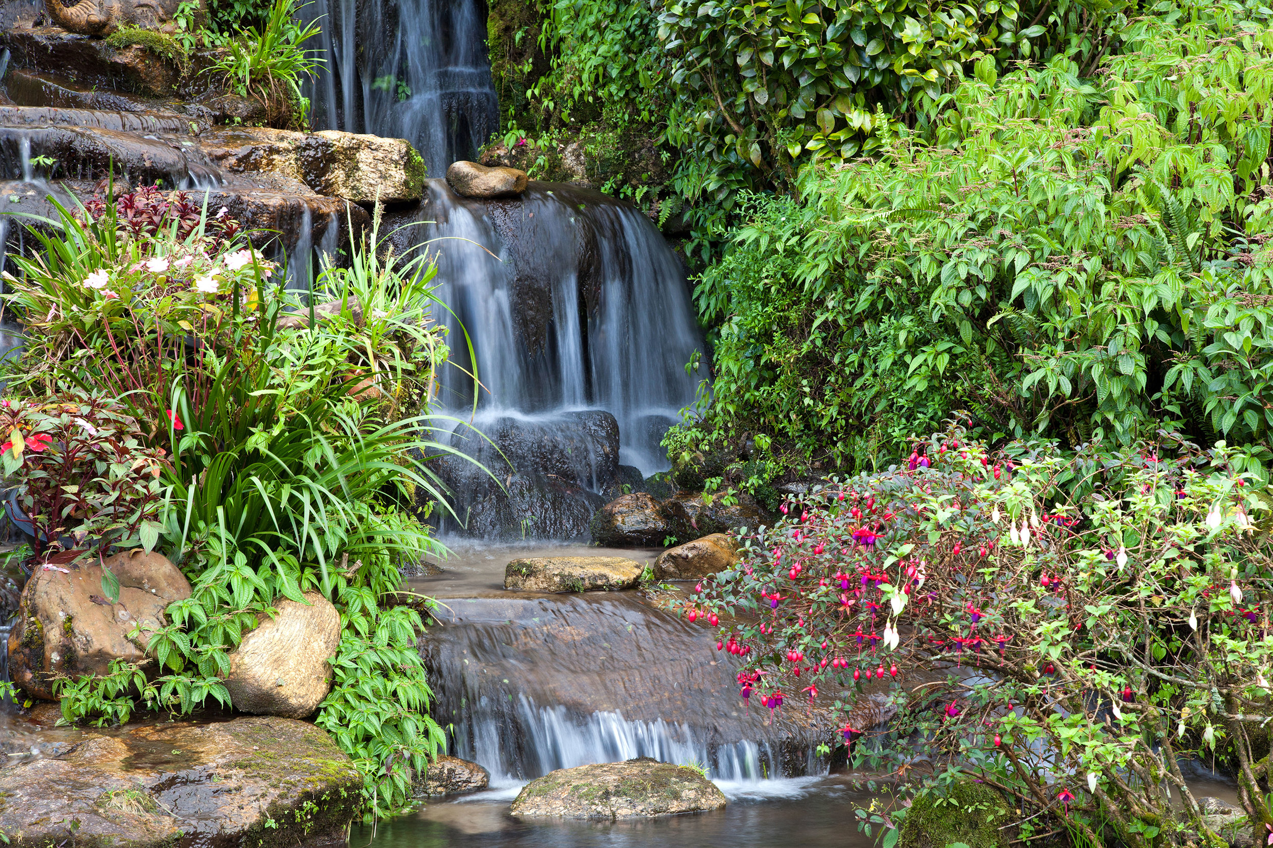 waterfall landscape design plantings