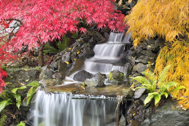 waterfall landscape design Japanese garden maple zen