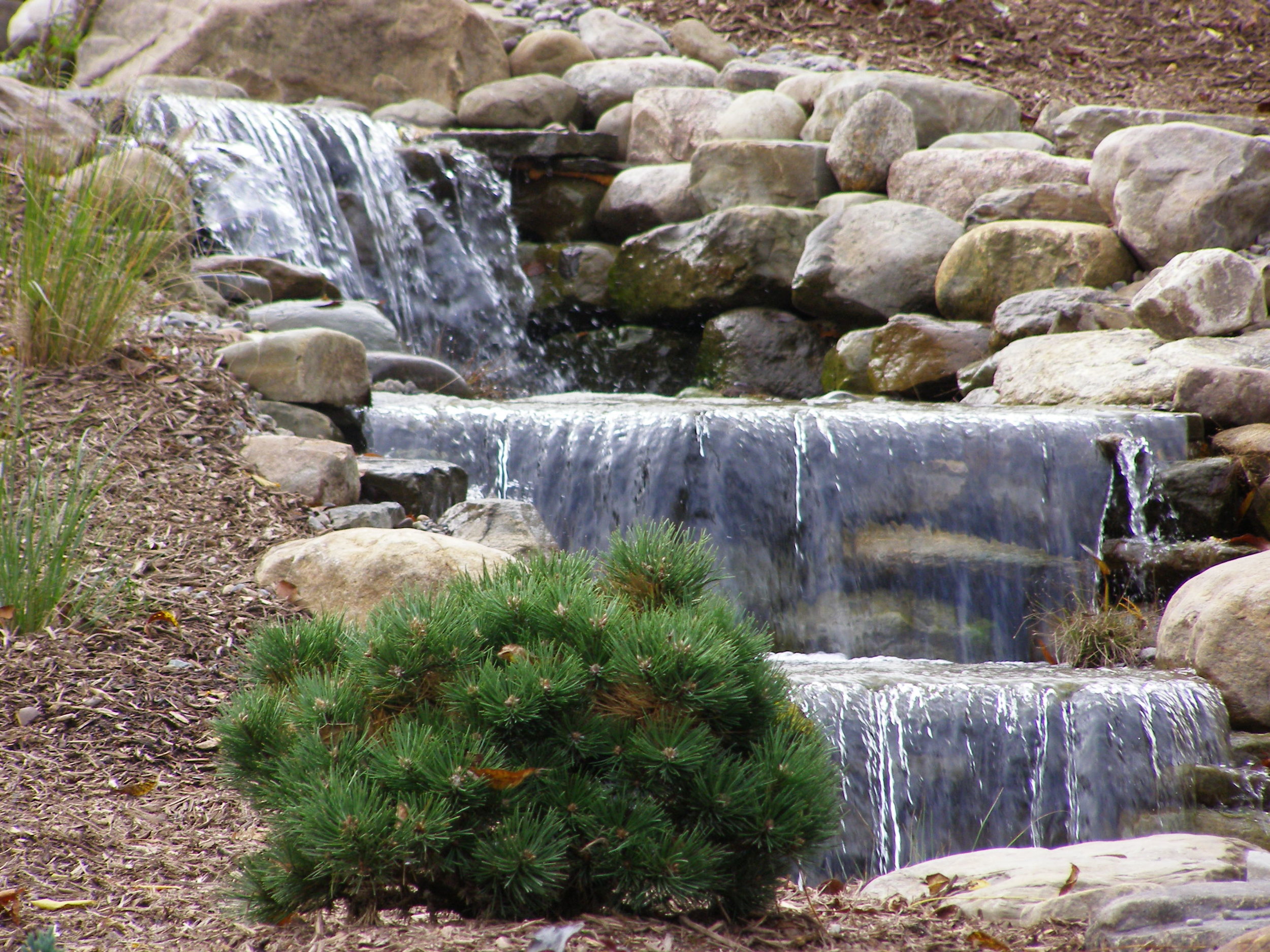 waterfall plantings stream landscape design