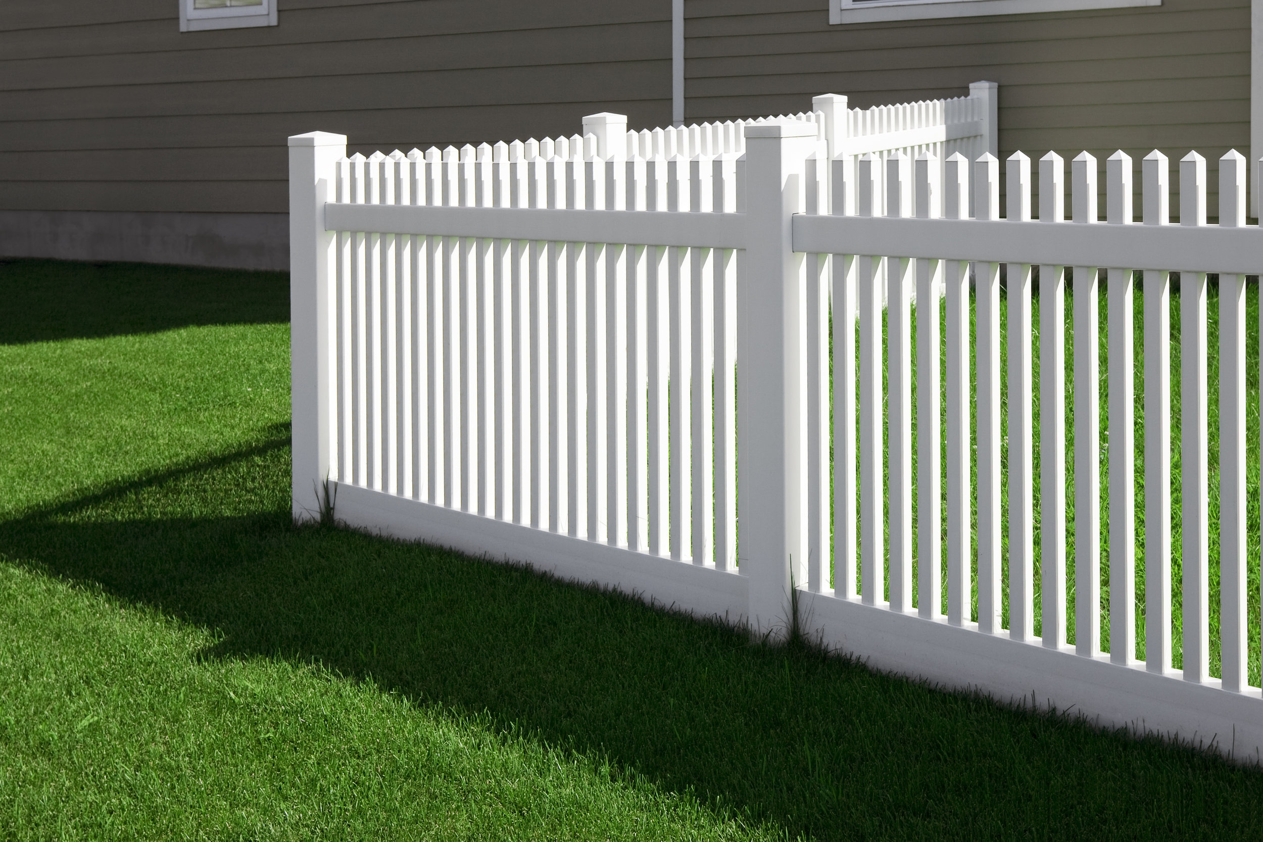 fence white picket dog animal landscape design