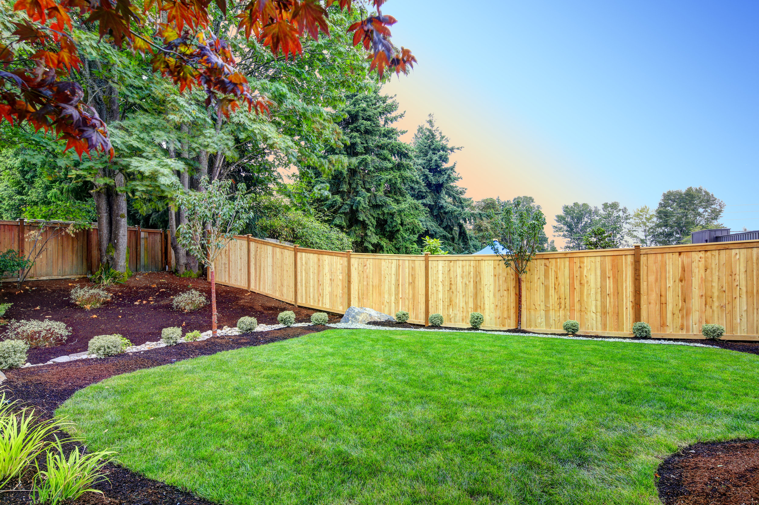 Landscape design fence privacy plantings