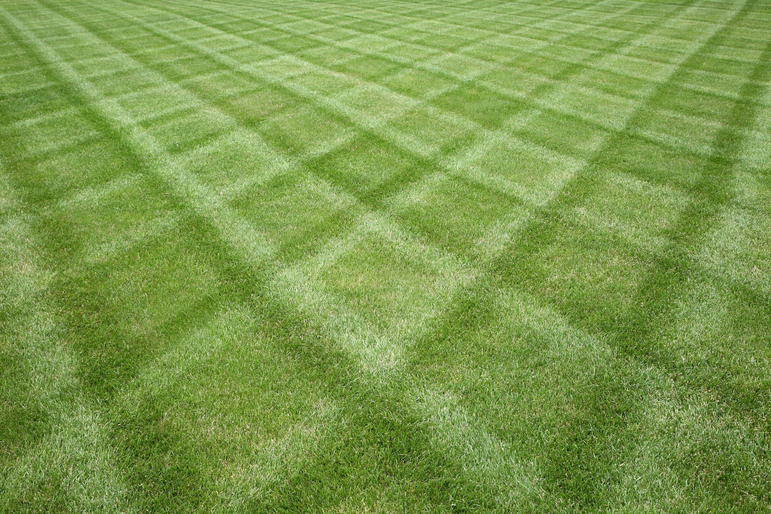 lawn mowing lawn care turf care clean green grass reduced.jpg