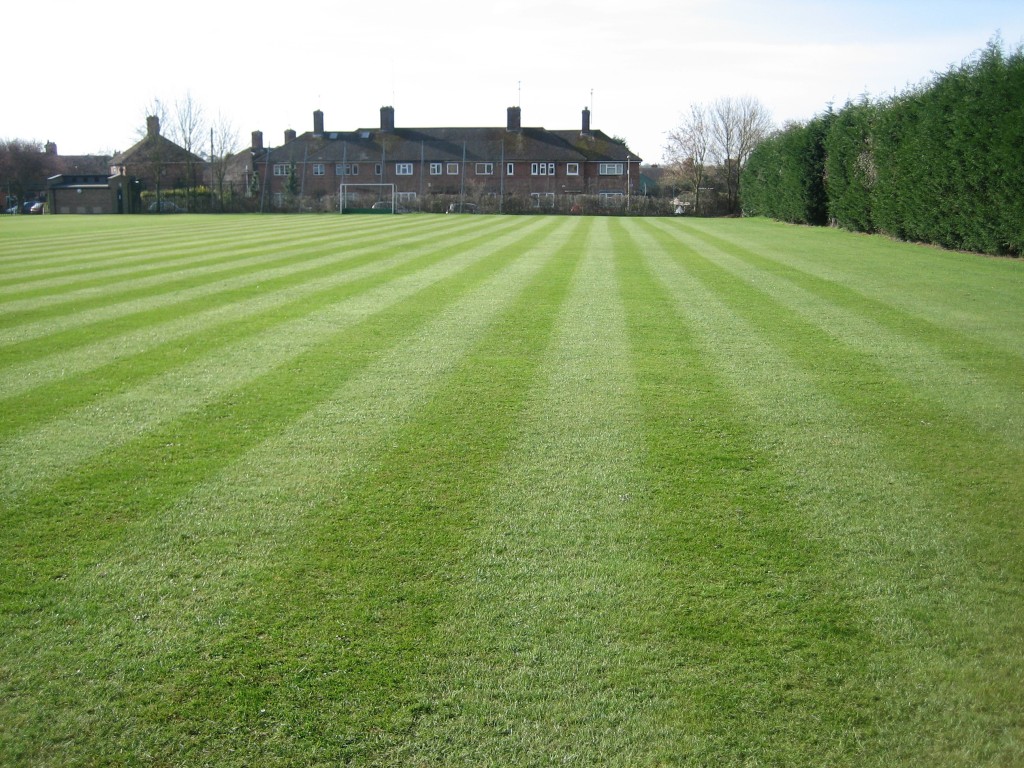 lawn roll rolling green grass 